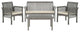 Safavieh Carson 4-Piece Indoor-Outdoor Living Set, Gray Wash