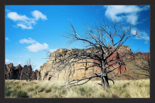 "Oregon Escape" Framed Painting Print, 45"x30"