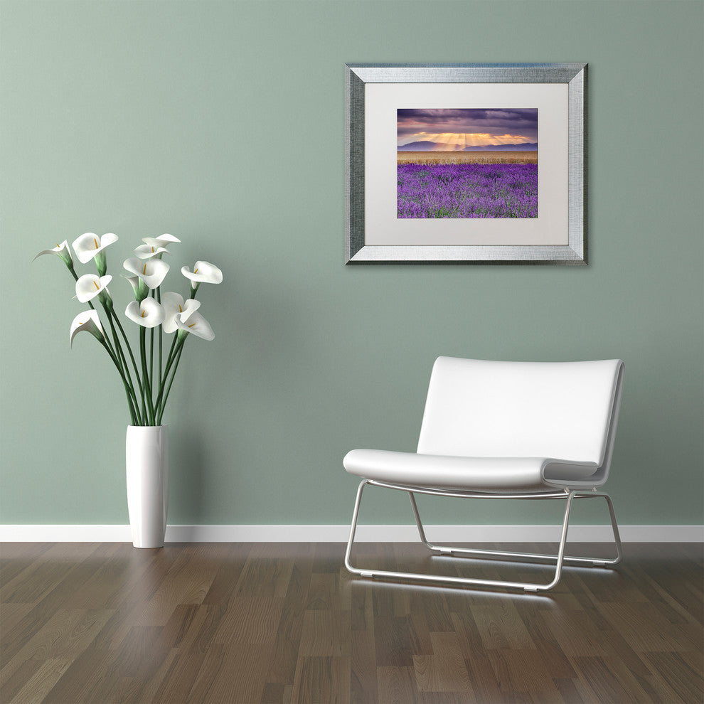 Blanchette Photography 'Lavender Sunbeams', Silver Frame, White Matte, 14"x11"