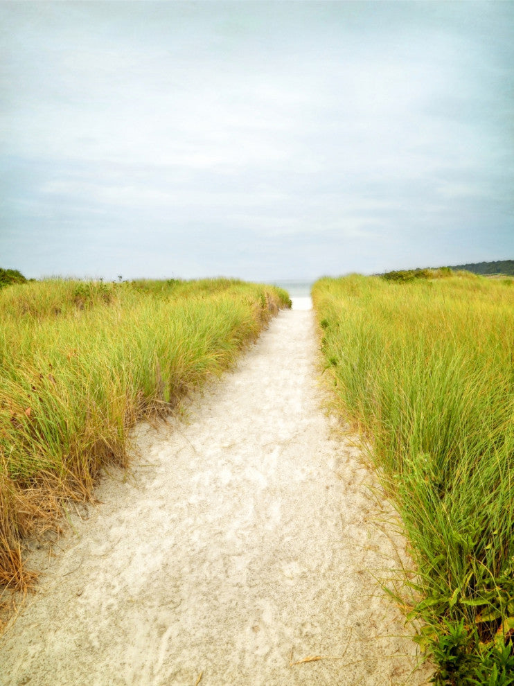 Beach Trail - 72 x 54 by Brooke T. Ryan