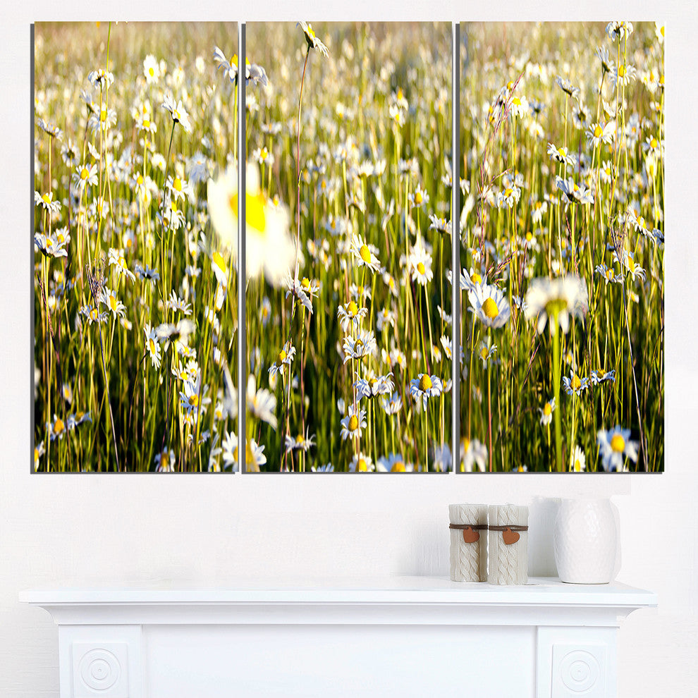"Wild Chamomile Flowers Field" Metal Wall Art, 3 Panels, 36"x28"