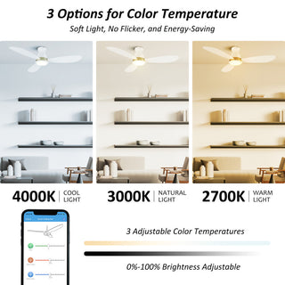 CARRO 52" Flush Mount Ceiling Fan with Dim Light and Remote 10 Speed, White/Gold