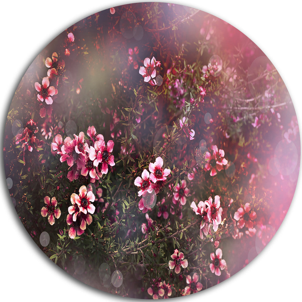 Sakura Japanese Cherry, Photography Floral Round Wall Art, 36"