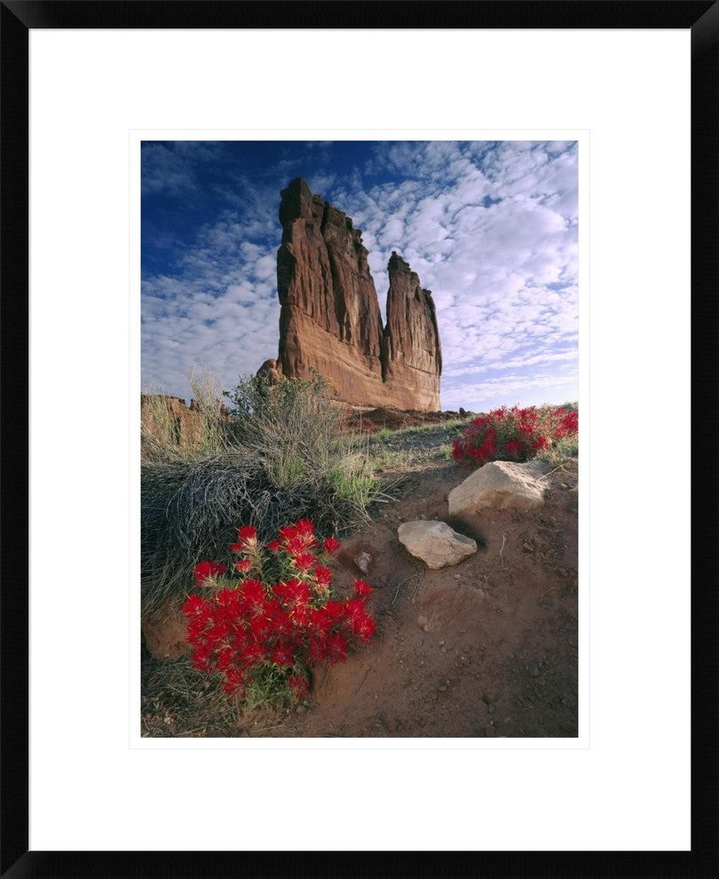 Paintbrush and The Organ Rock, Arches National Park, Utah, 18"x22"