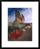 Paintbrush and The Organ Rock, Arches National Park, Utah, 18"x22"
