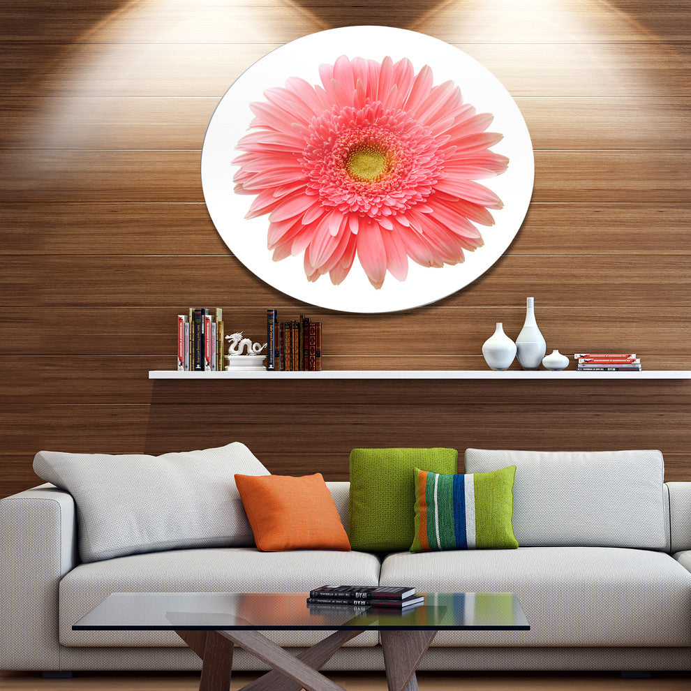 Single Daisy On White Background, Floral Disc Metal Wall Art, 36"