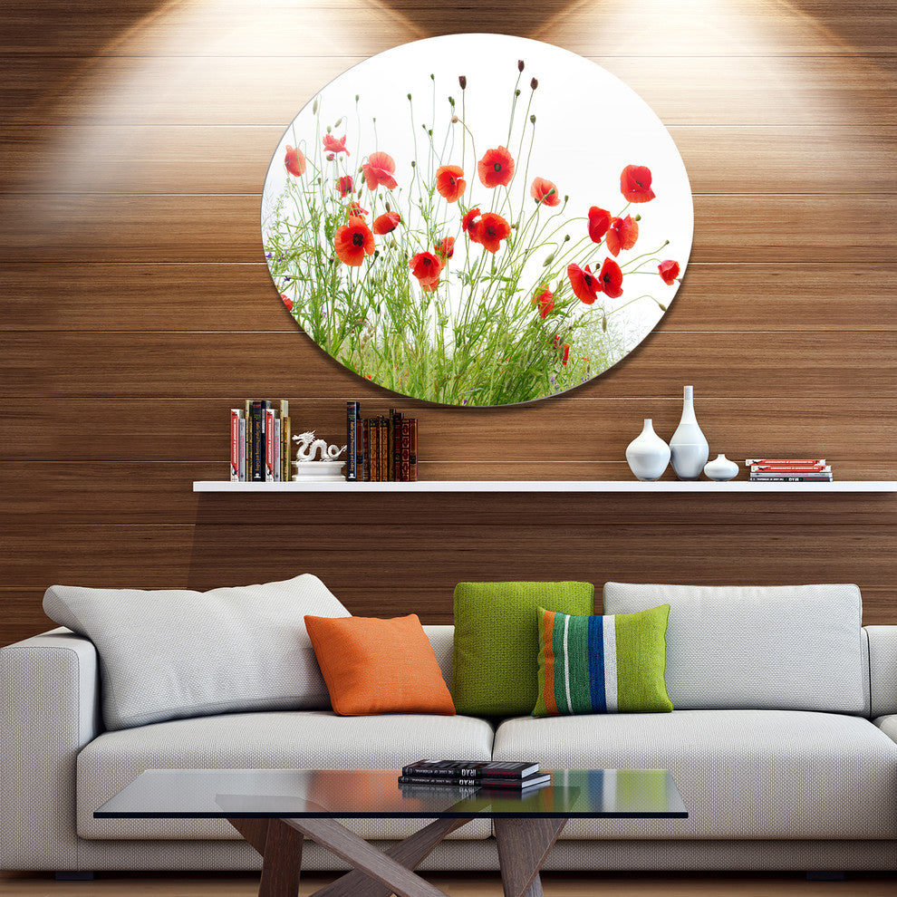 Poppies On White Background, Modern Floral Disc Metal Artwork, 23"