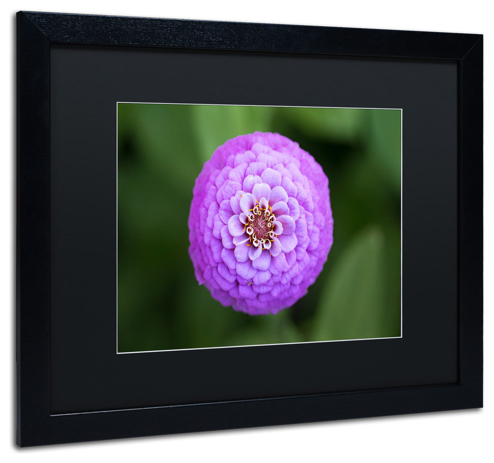 Jason Shaffer 'Purple Flower' Matted Framed Art, Black Frame, Black Mat, 20x16