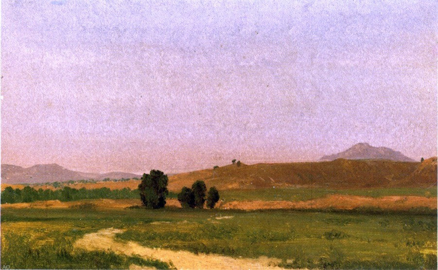Albert Bierstadt Nebraska On the Plains, 18"x27" Wall Decal