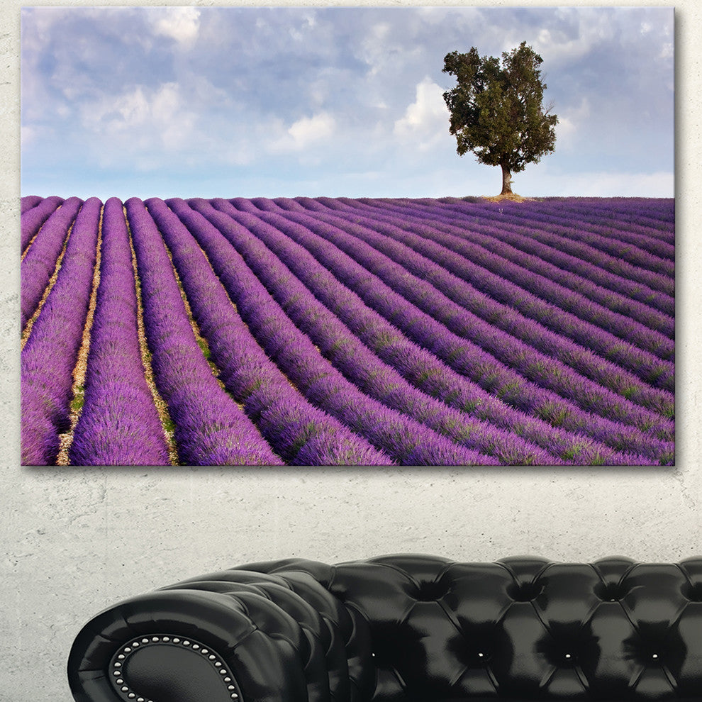 Lone Tree in Provence Lavender Field, Landscape Canvas Wall Art, 40"x30"