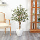 53" Olive Artificial Tree, White Planter