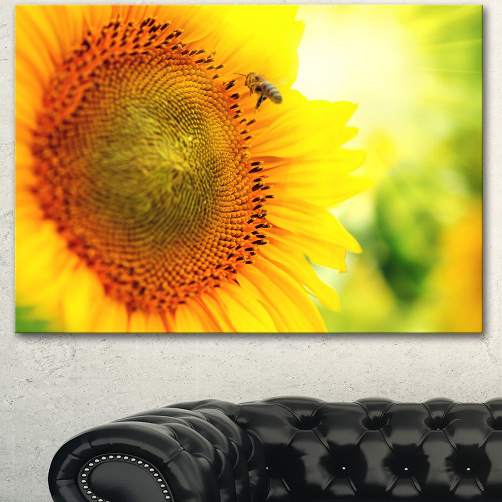 Sunflower Blooming on Field, Large Animal Canvas Art Print, 60"x28"