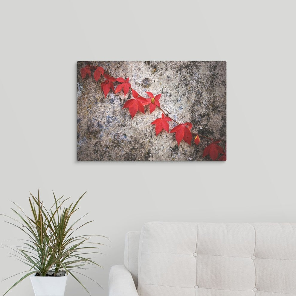 "Jealousy" Wrapped Canvas Art Print, 24"x16"x1.5"