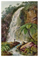 "Wasserfall von Tjiburrum Am Vulkan Pangerango in Java" Print, 14"x20"