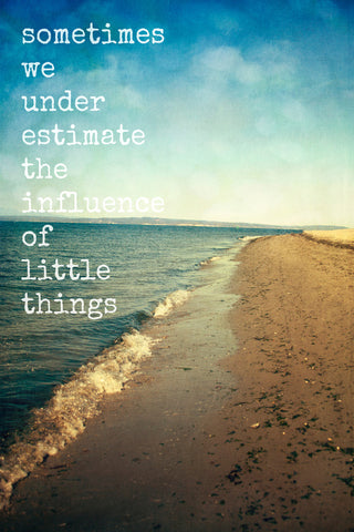 "Sometimes We Underestimate" Print on Canvas by Sylvia Cook