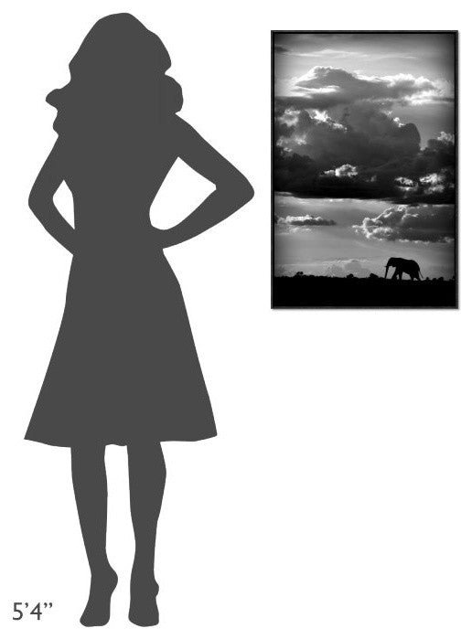 "He Walks Under An African Sky" Framed Canvas Giclee by Wildphotoart, 21x31"