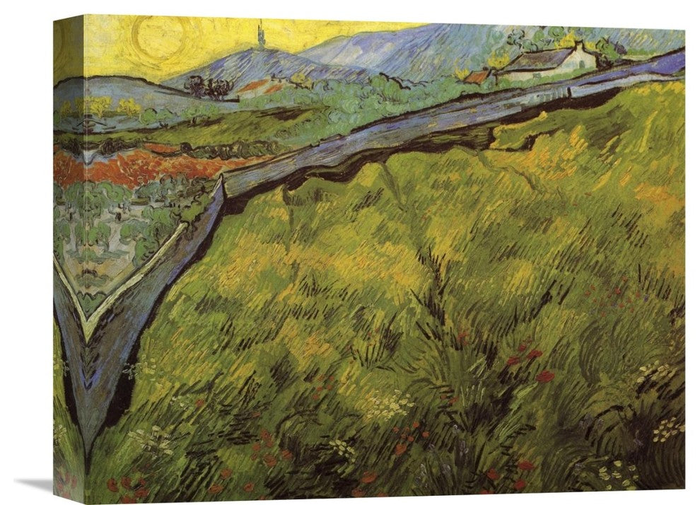 "Field Of Spring Wheat At Sunrise" Canvas Giclee by Vincent Van Gogh, 16"x13"