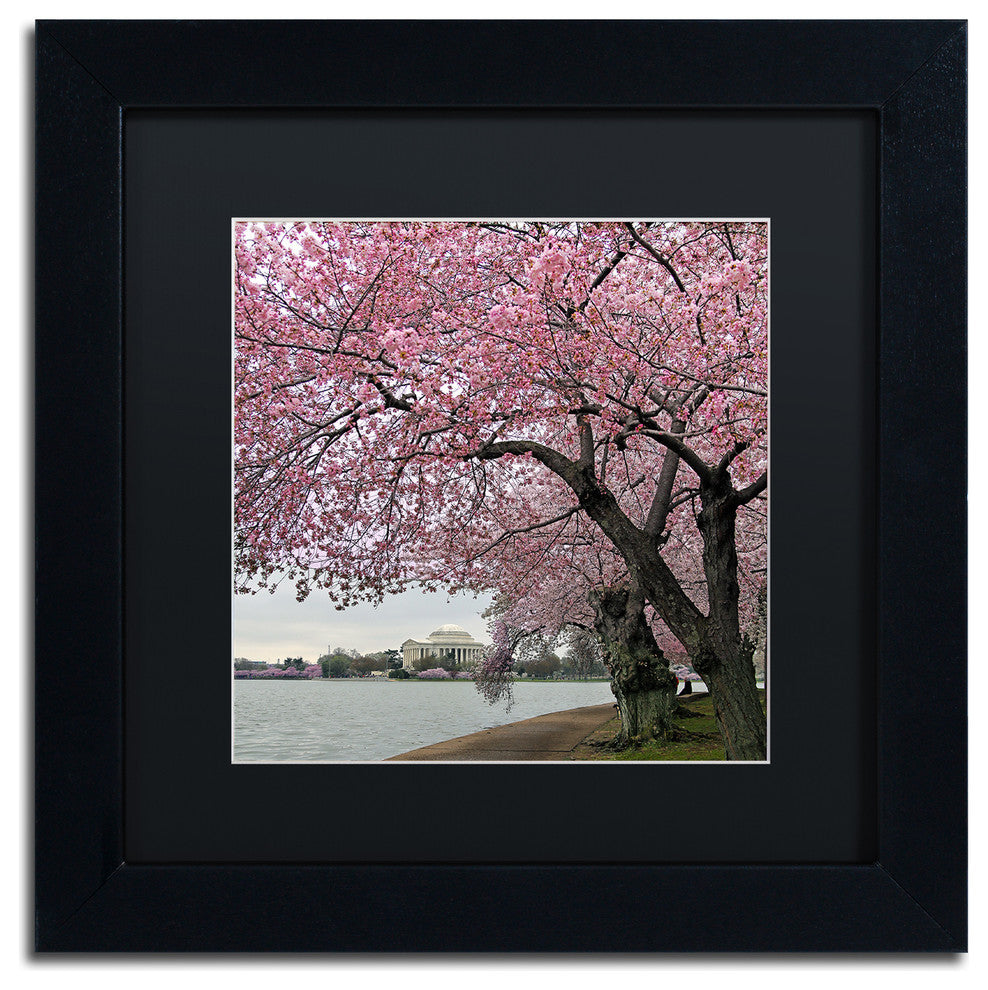 CATeyes 'Tidal Basin Blossoms' Matted Framed Art, 11x11