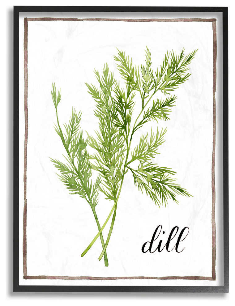 Watercolor Herb Illustration Dill Painting with Script Framed Giclee, 16"x20"