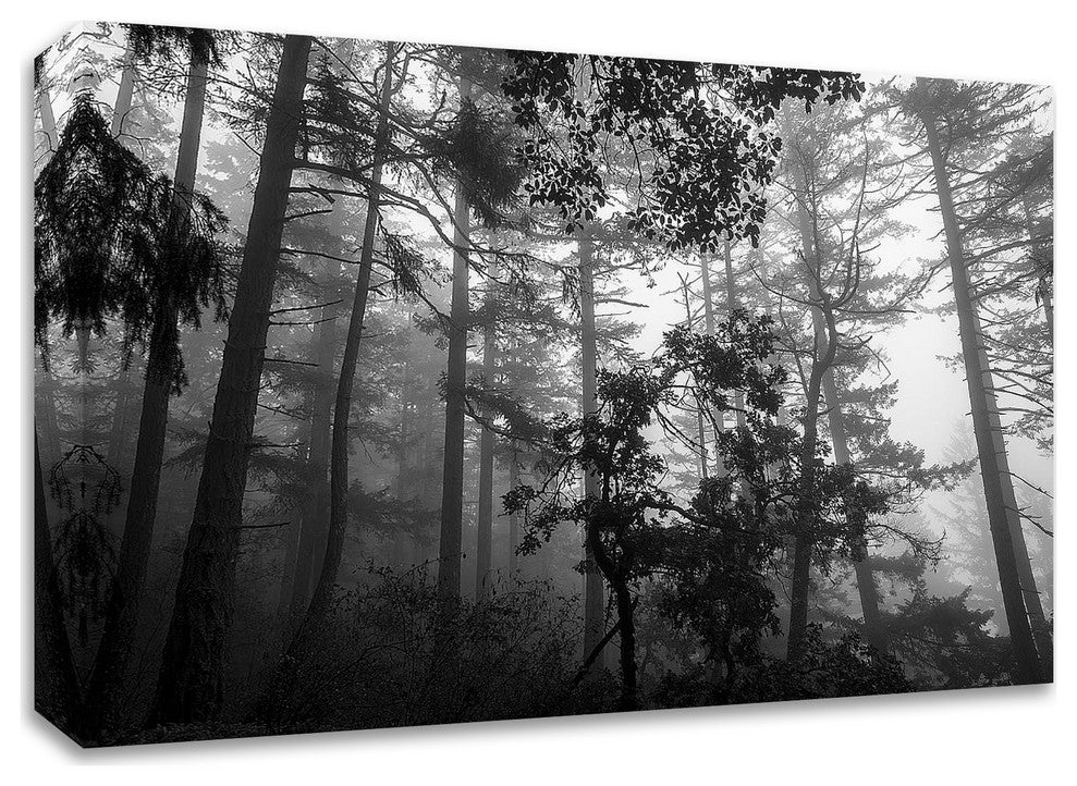 Misty Forest by Tim Oldford, Print on Canvas, 45"x30"