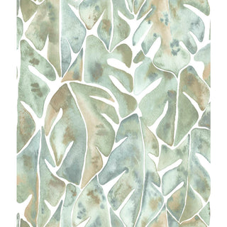 Cat Coquillette Philodendron Peel & Stick Wallpaper