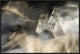In Motion, 30"x20"