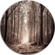 Forest Trail In Sepia, Landscape Photography Disc Metal Artwork, 23"