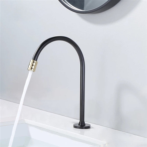Black and Gold Automatic Restroom Faucet
