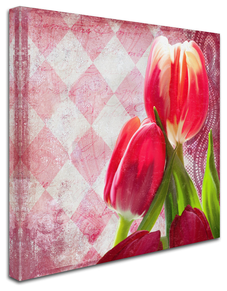 Tina Lavoie 'Harlequin' Canvas Art, 14" x 14"