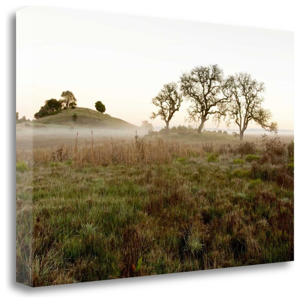 "Oak Tree - 33" By Alan Blaustein, Giclee Print on Gallery Wrap Canvas