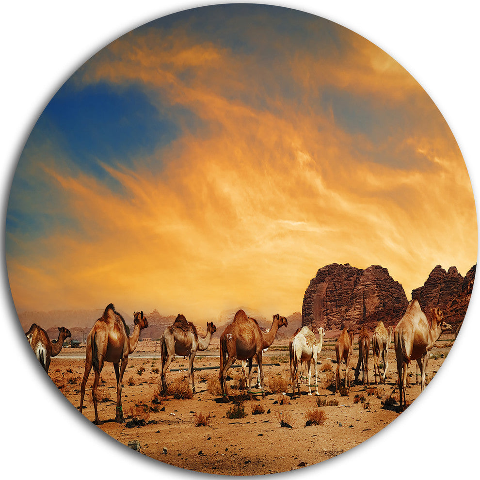 Camels In Wadi Rum, Photography Round Wall Art, 36"