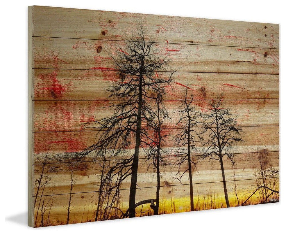 "Tree Skeletons" Print on Natural Pine Wood, 45"x30"