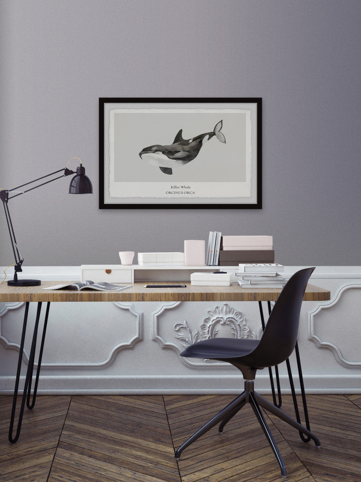 "Orcinus Orca" Framed Painting Print, 36x24