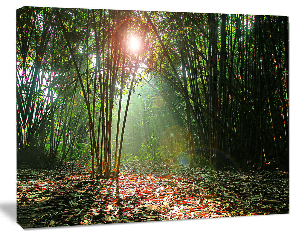 Amazing Green Forest at Sunset, Large landscape Canvas Art Print, 60x40