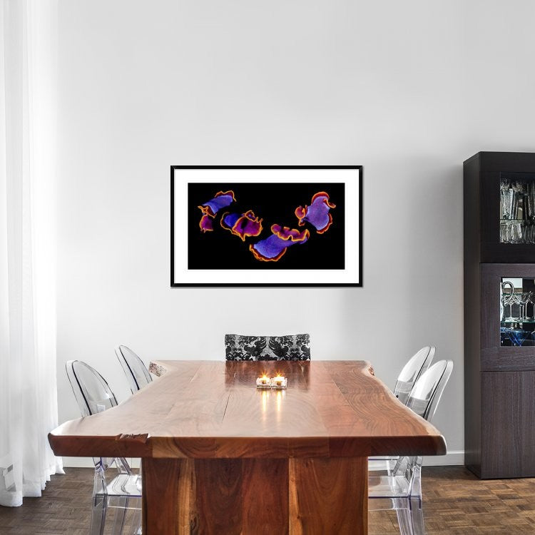 "Flamenco" Framed Digital Print by Andrey Narchuk, 44x28"