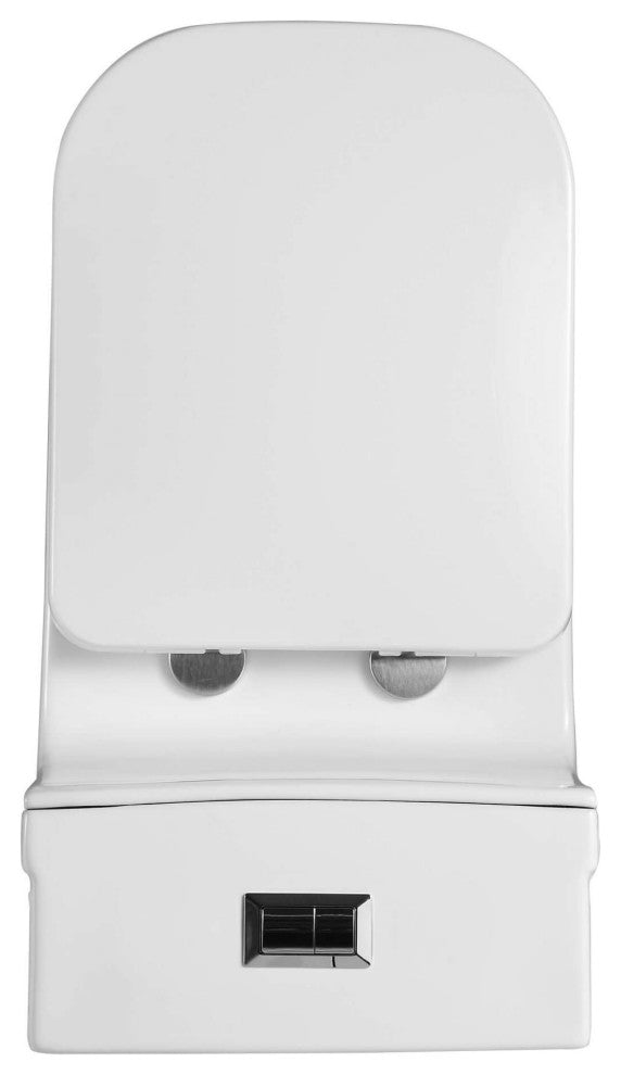 Fine Fixtures Dual-Flush Elongated One-Piece Toilet with High Efficiency Flush