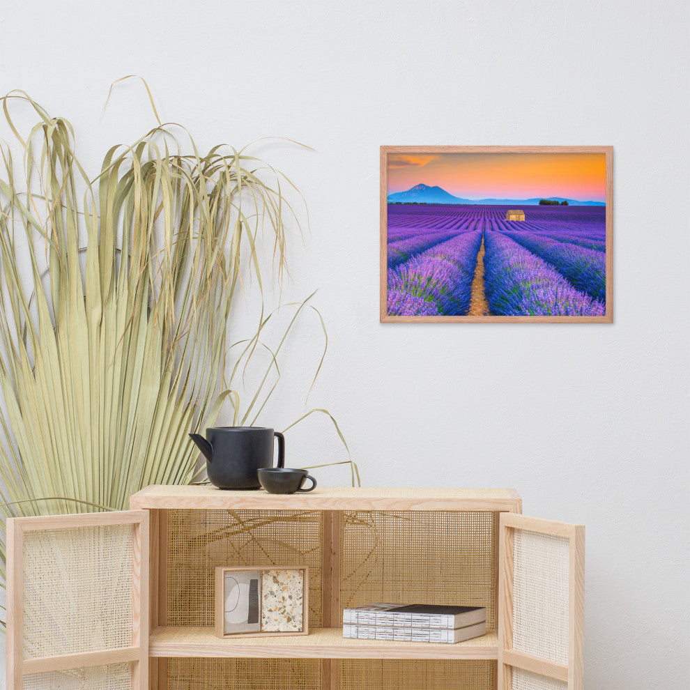 Blooming Lavender Field and Sunset Floral Landscape Framed Photo Wall Art Prints, Red Oak, 18" X 24"
