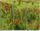 "Wild Peonies Flower in Steppe" Metal Wall Art, 3 Panels, 36"x28"