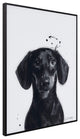 "Dachshund" Black and White Pet Art on Printed Glass Encased with Anodized Frame
