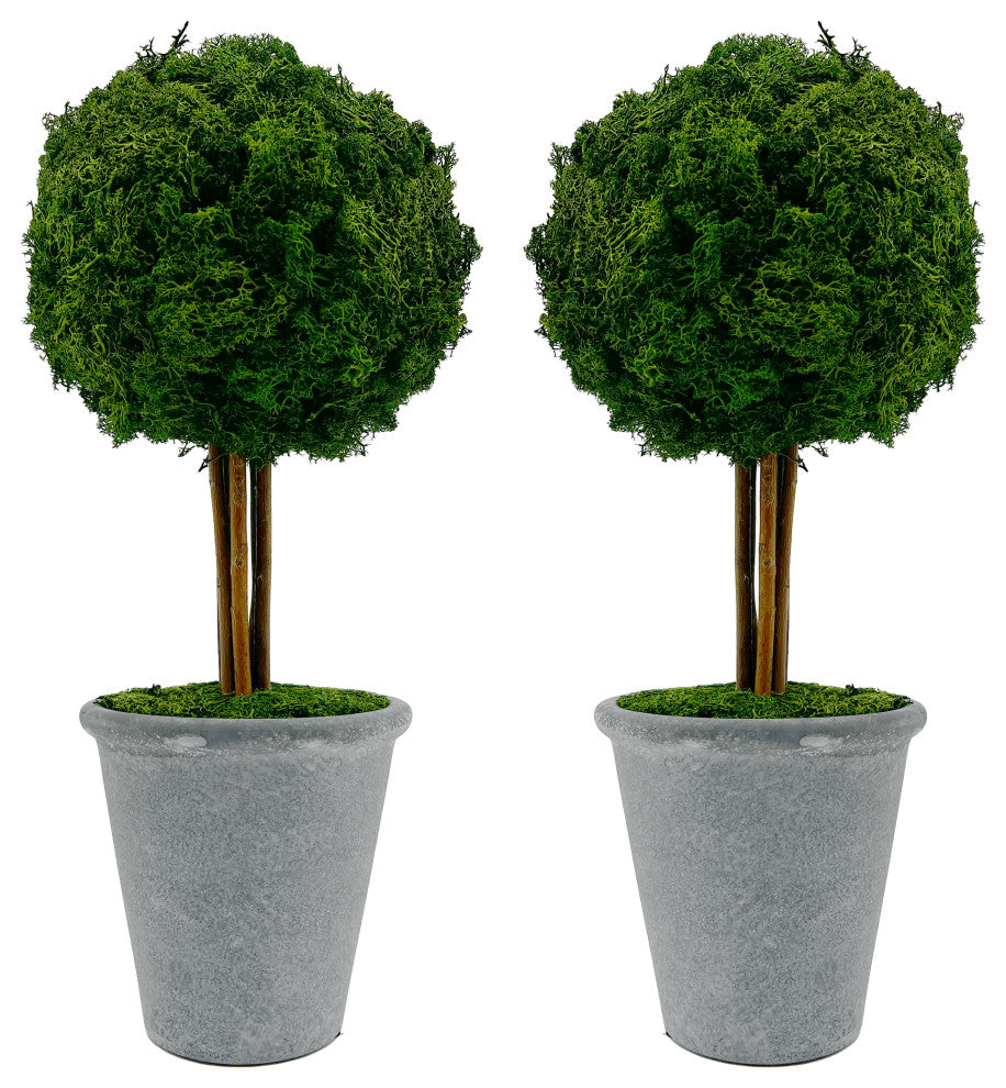 Preserved 16" Reindeer Moss Ball Potted Topiary Tree Green, Pair