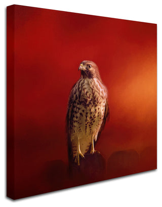 Jai Johnson 'Hawk On A Hot Day' Canvas Art, 35 x 35