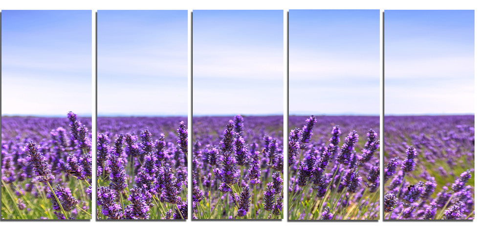 "Close View of Lavender Flower Field" Landscape Wall Art, 5 Panels, 60"x28"