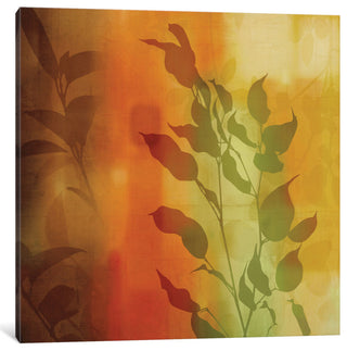 "Nature's Glow I" by Chris Donovan, Canvas Print, 18"x18"