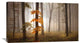 "In November Light" Stretched Canvas Giclee by Franz Schumacher, 36x21"