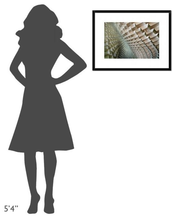 "Serpentine" Framed Digital Print by Linda Wride, 26"x20"