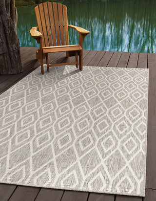 Indoor/Outdoor Destiny 3'x5' Rectangle Ash Gray Area Rug