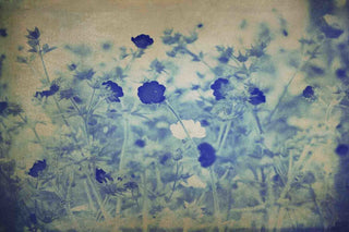 "Don t Worry" Painting Print on Canvas by Jorgensen