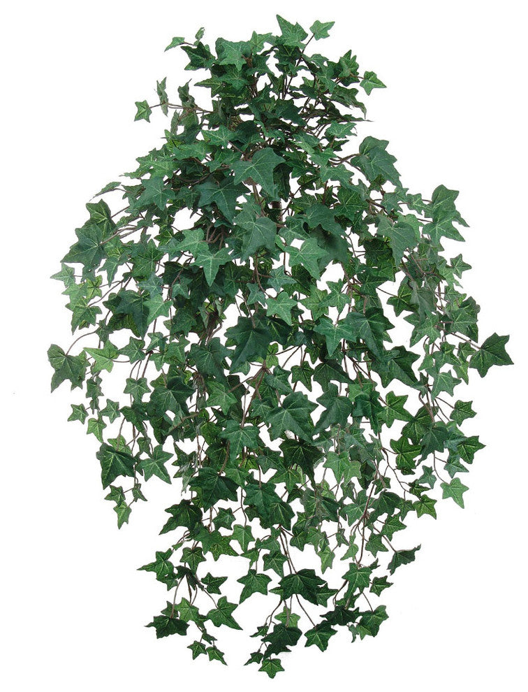 Silk English Ivy Hanging Bush 33" Long w 530 Leaves, 12 Pcs Silk House Plant