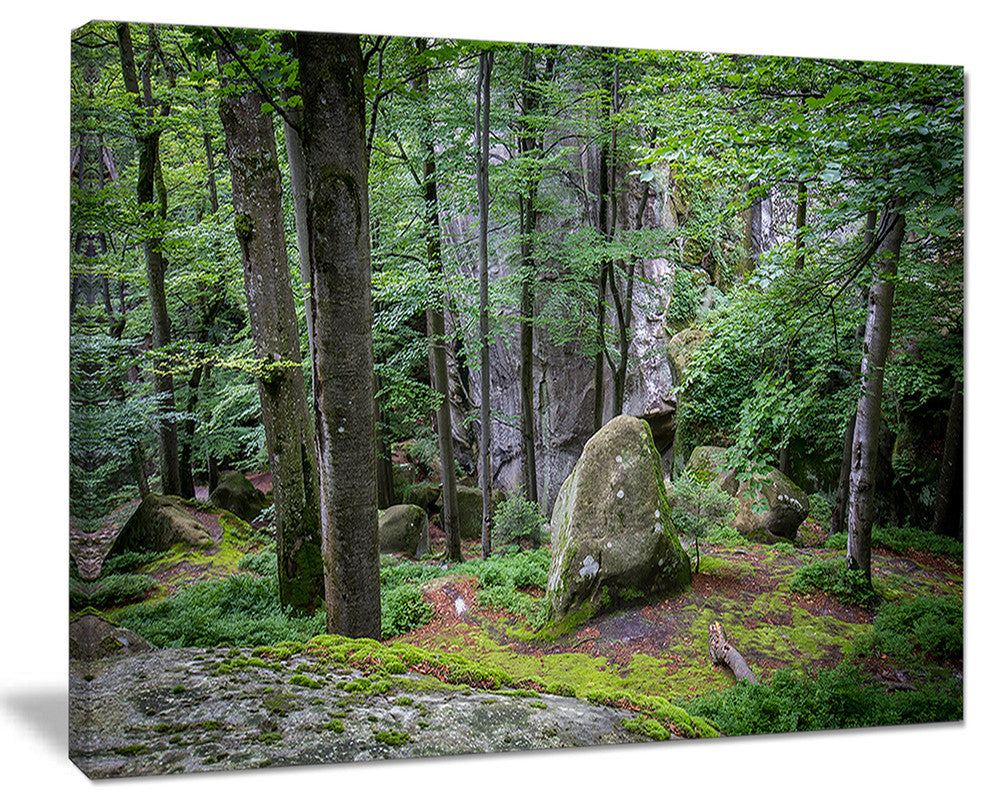 "Dense Moss Forest in Green" Landscape Art Print Canvas, 20"x12"