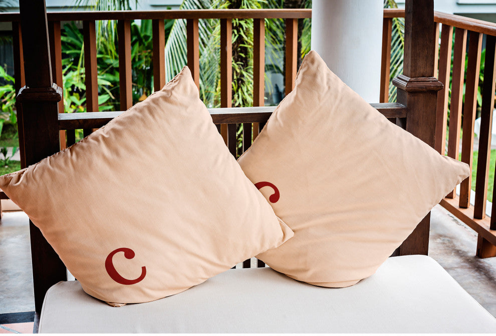 20" x 20" Modern Monogram Indoor/Outdoor Polyester Throw Pillow, Maple Red
